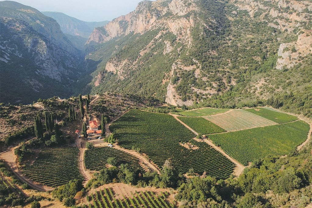 AN INDULGENT GREEK WINE ESCAPE