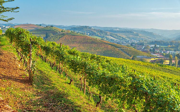 GREEK-WINE-EXPERIENCES-VERTICAL-MASTERCLASS-1